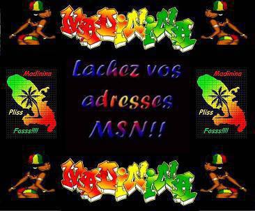 lache ton adresse msn